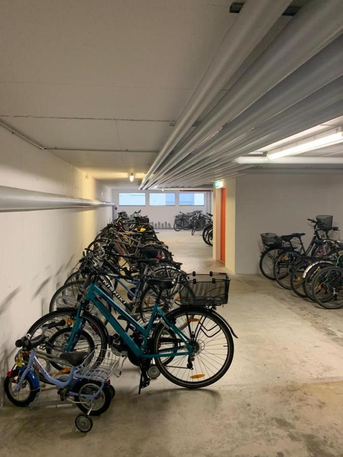 Ferienwohnung Lilly FDH Екстериор снимка